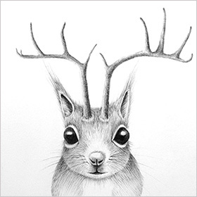 Horned critters - squirrel - click here for a larger image