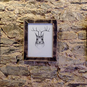 Horned critters exhibition 2014 - click here for a larger image