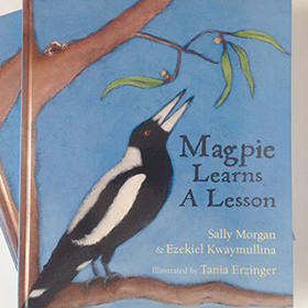Magpie learns a lesson - click here for a larger image